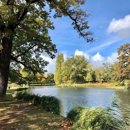 Studio Au Calme Dans Jardin A 30Min De Paris Avec Nouvelle Literie Chatou Exterior foto